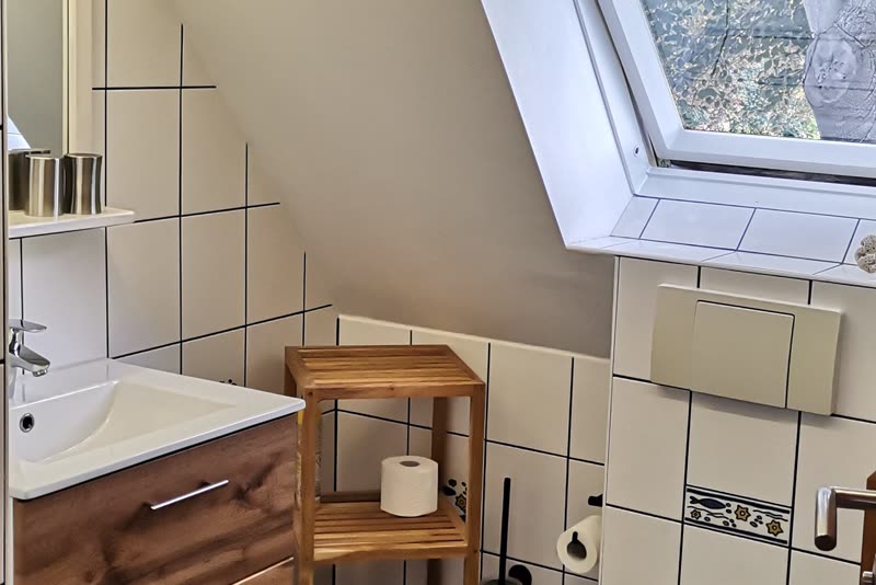Bad mit Waschtisch, WC und Dachfenster