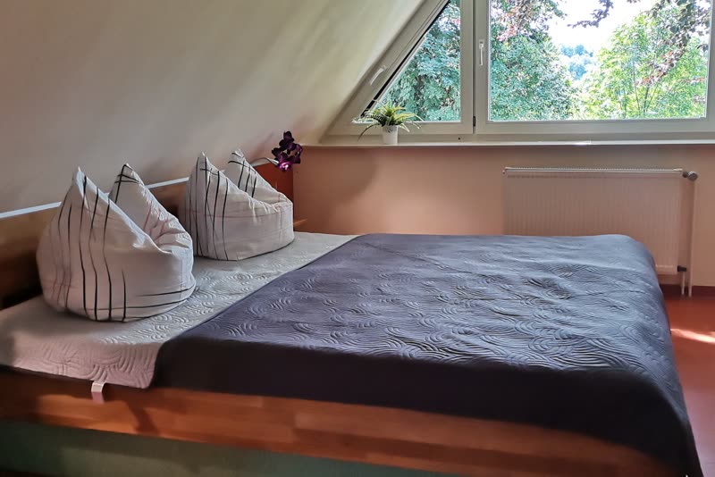 Doppelbett unter einem großen Dachfenster mit Blick auf Bäume