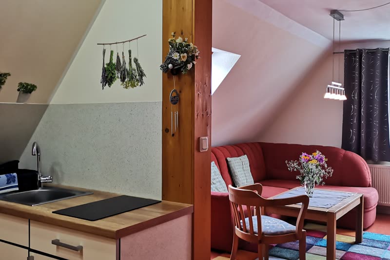 Küche mit Spüle und Kochfeld, dahinter die Sofaecke mit Blumenstrauß